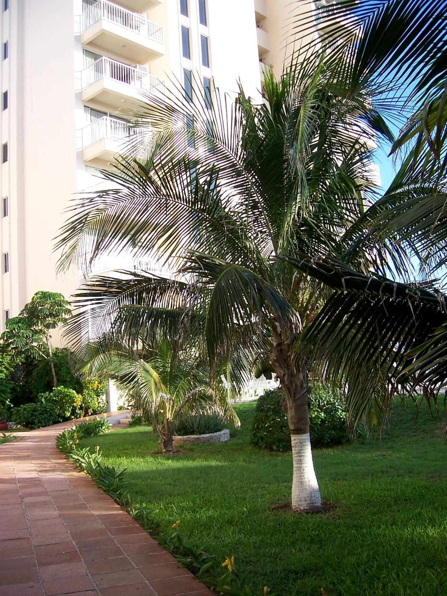 Salvia Cancun Aparts Ngoại thất bức ảnh